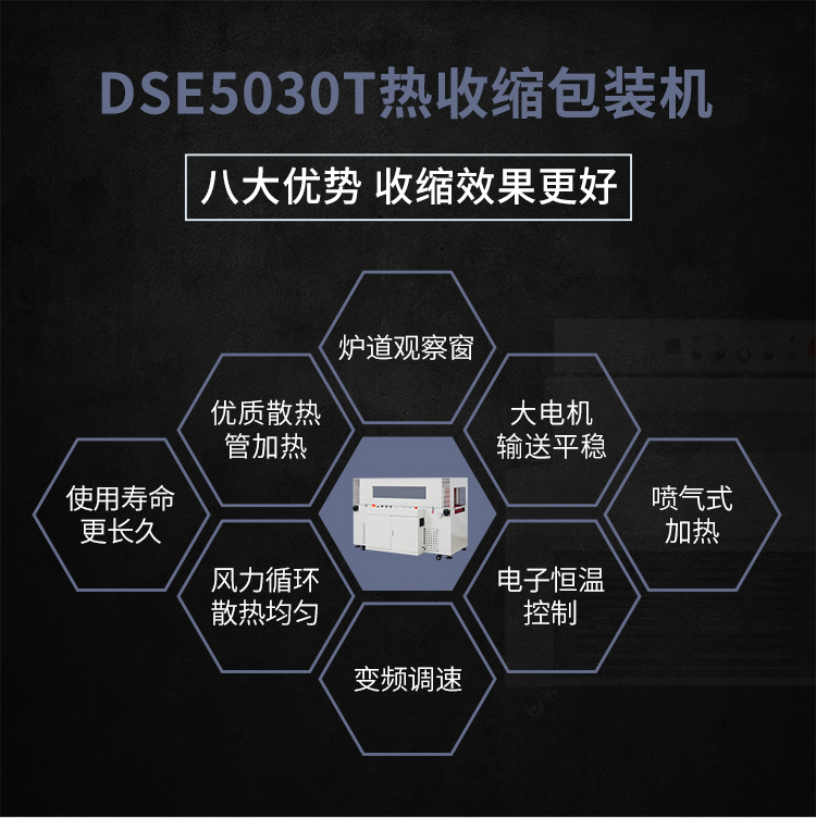 DSE5030T_02.jpg